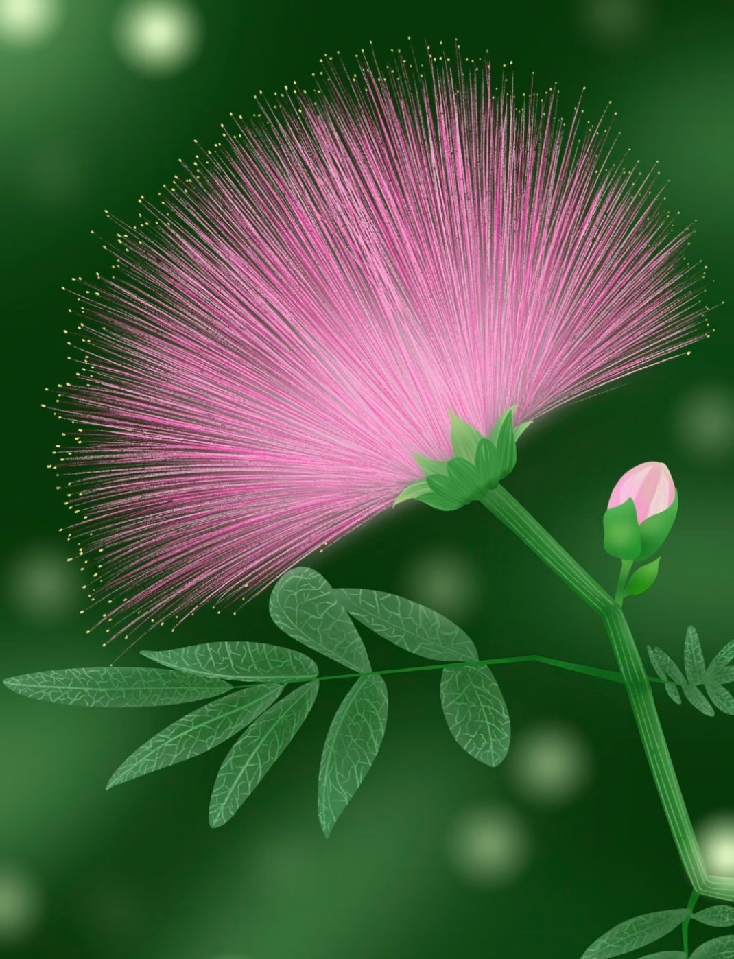 被这朵粉粉的花迷住了～🌸 