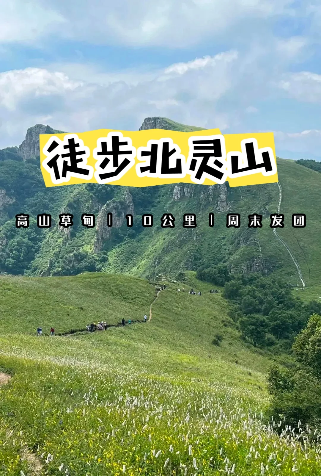 🗻北灵山（海拔约1950米）位于北京门头沟与河北涿鹿交界，以高山草甸...