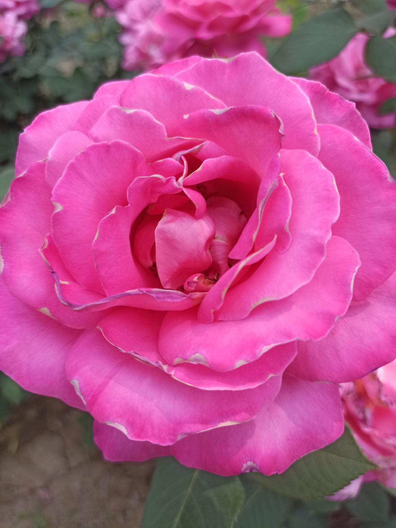 年初果断从零食赛道转向涂料装修，摸着石头过河的日子里，踩过选品的坑，也熬过熬夜写