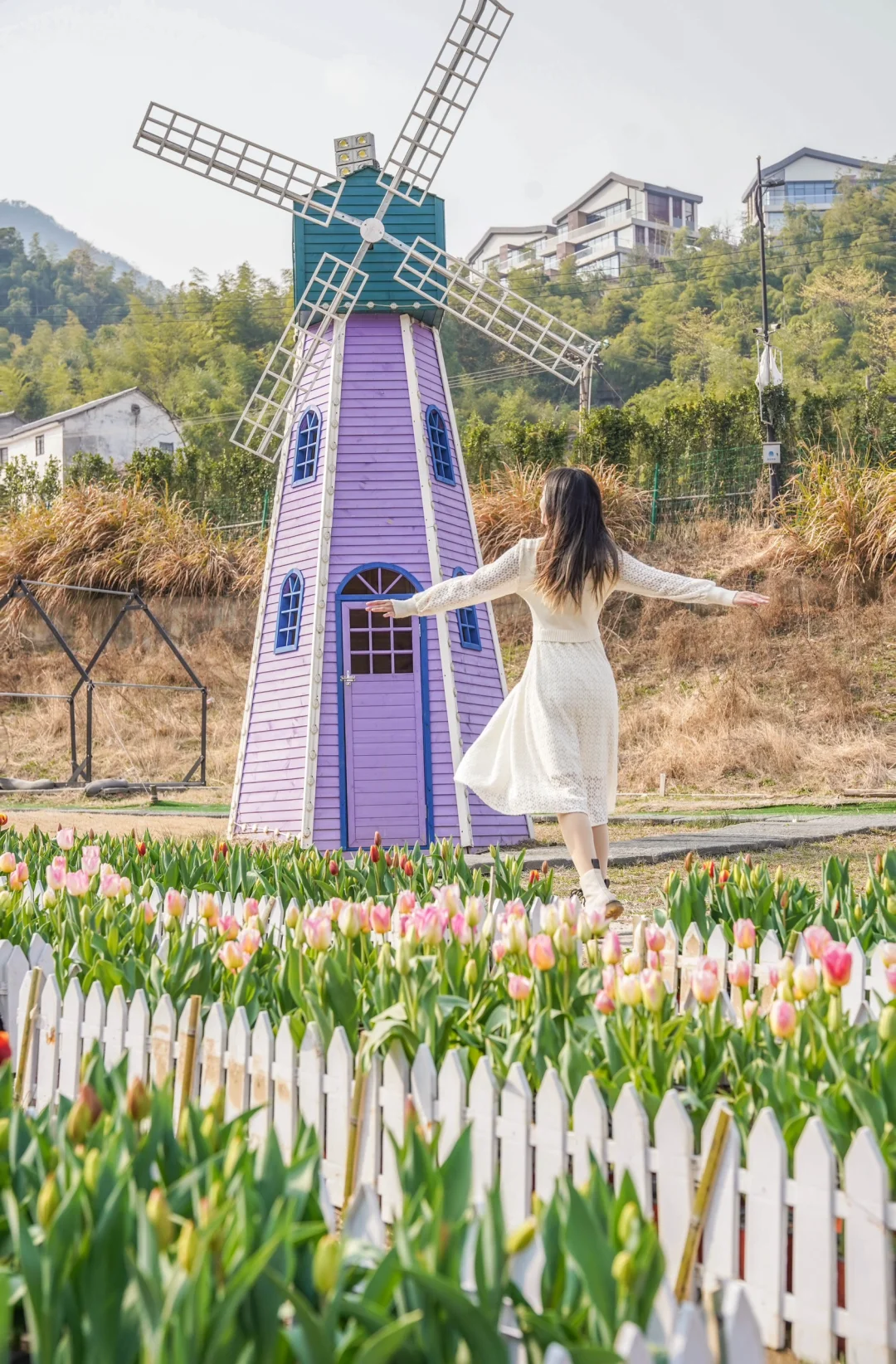 🌷杭州1h直达‼️江浙沪私藏郁金香花海