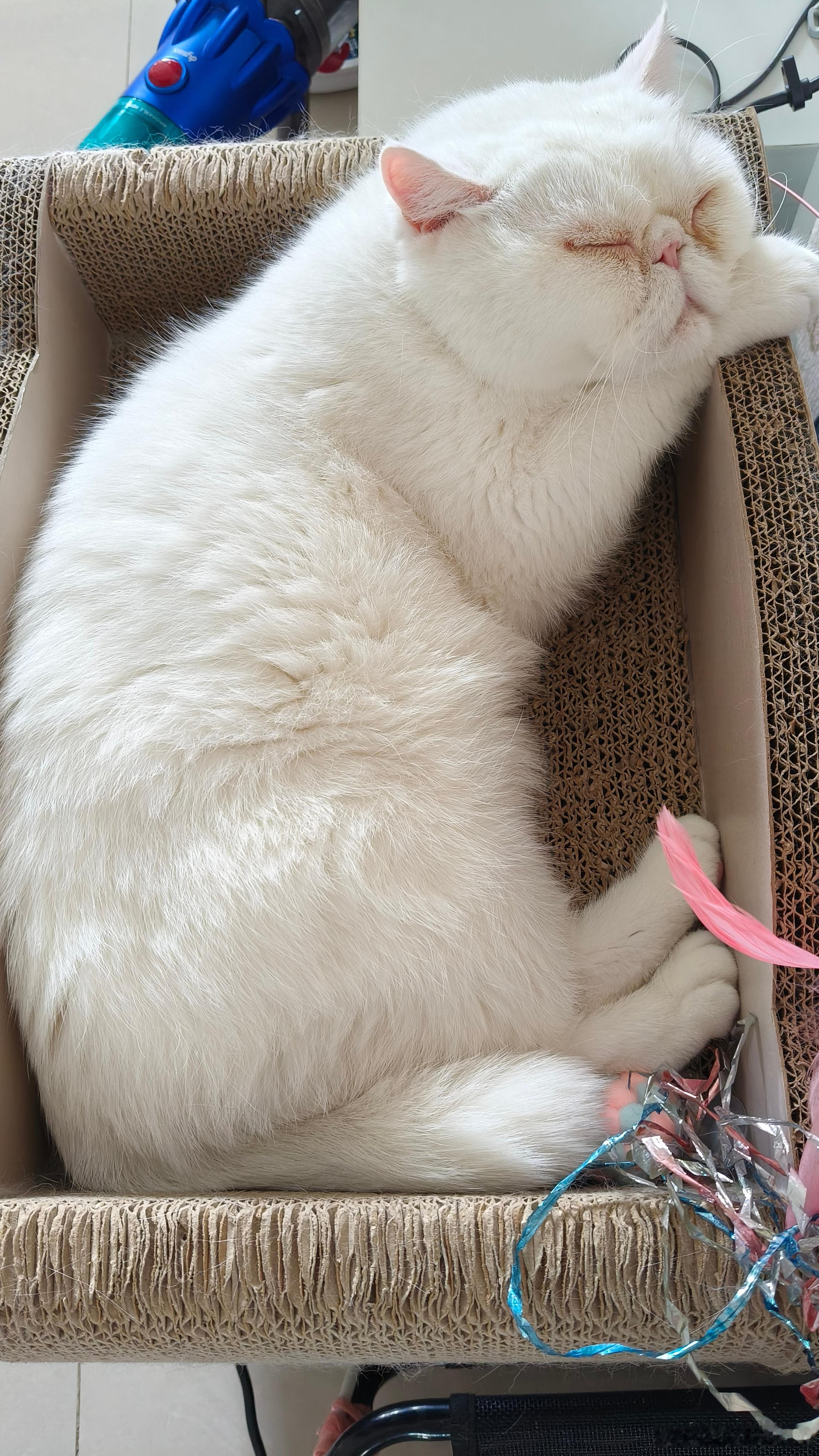我站在这看半天了，舍不得离开