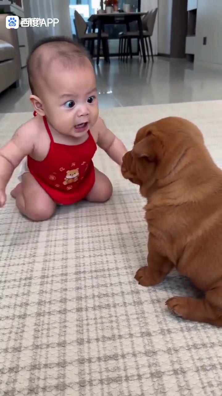 你别笑。