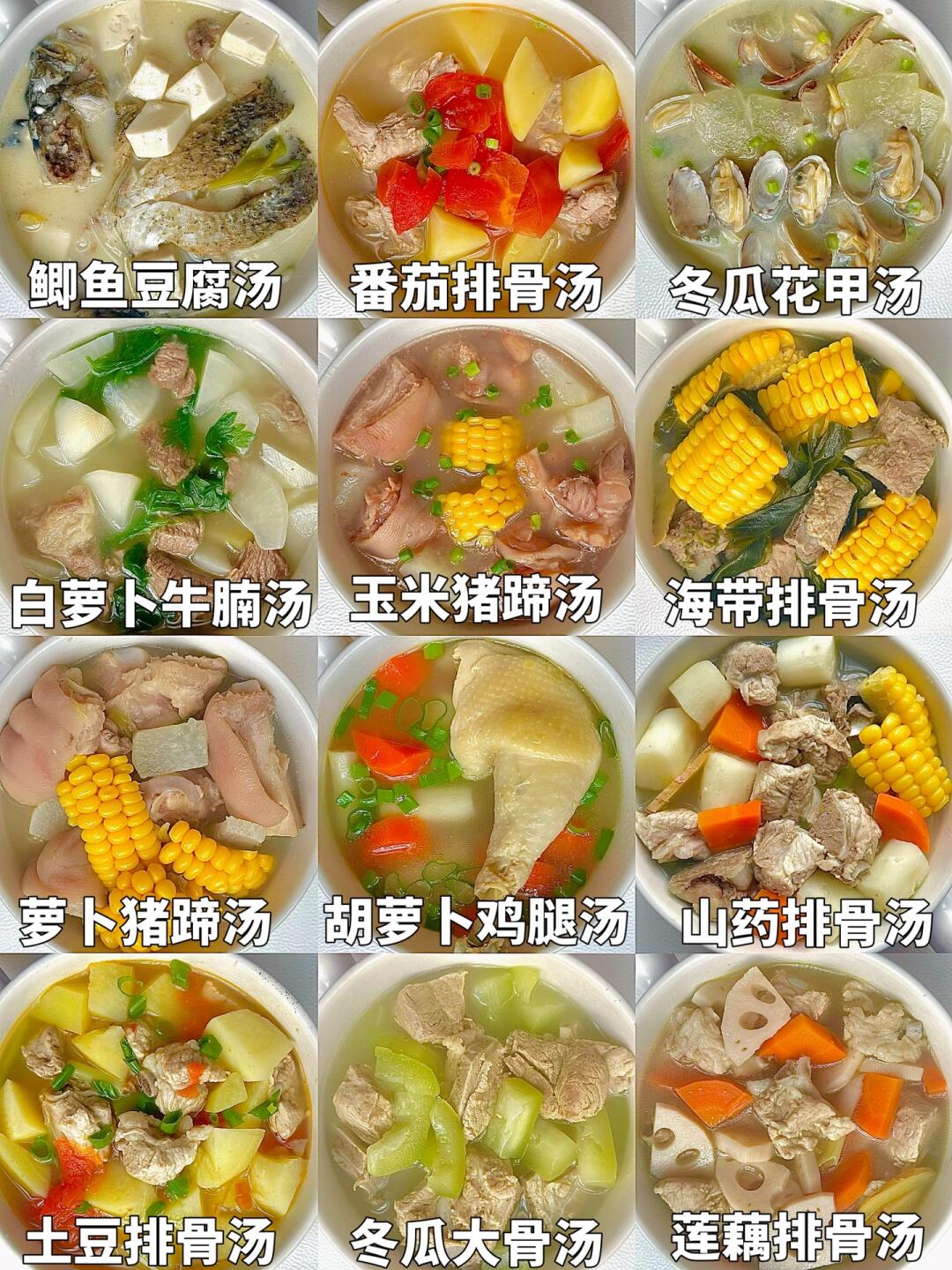 12款秋季营养炖汤不重样‼️暖心又暖胃