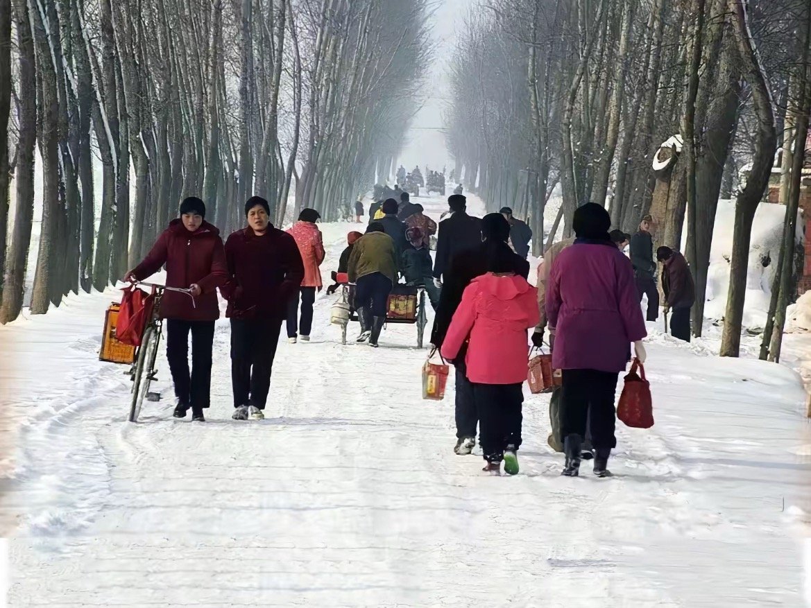 委员谈为什么越来越多人不爱过年不是年轻人不愿过年，而是时代变了、生活重了、人心散