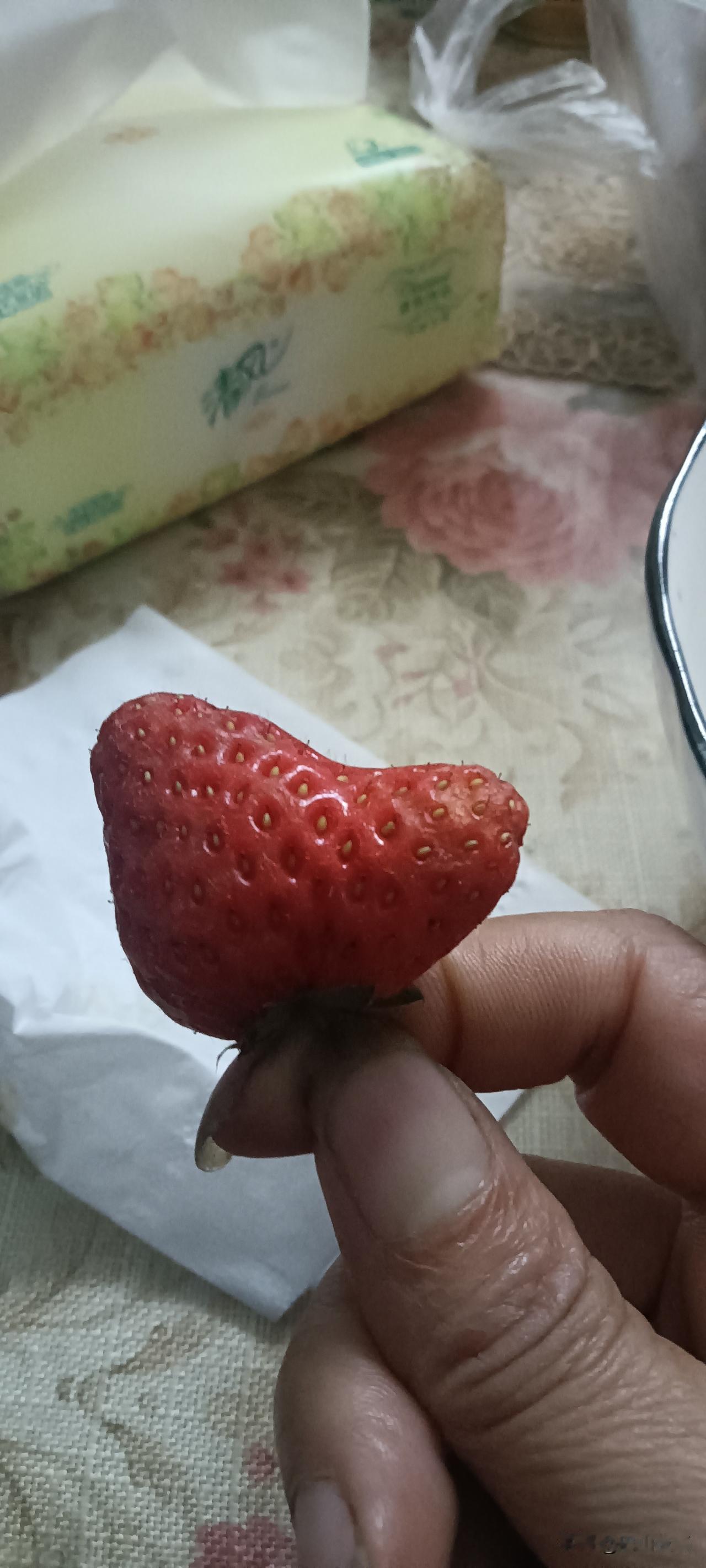 谁懂啊！
这颗歪歪扭扭的草莓才是春天的快乐！
 
家人们！谁懂这种快乐啊！
手里