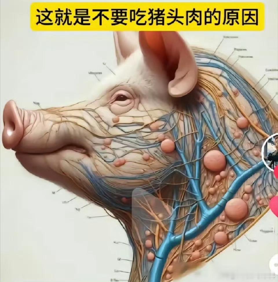 最爱吃猪头肉了刚才看到一个博主说不能吃猪头肉就附了一幅这样的图我想问，为啥不能吃