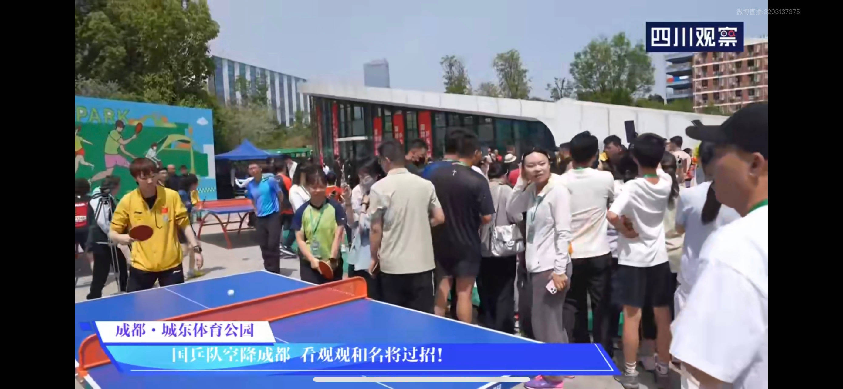 吱吱真的无人在意[笑哈哈] ​​​