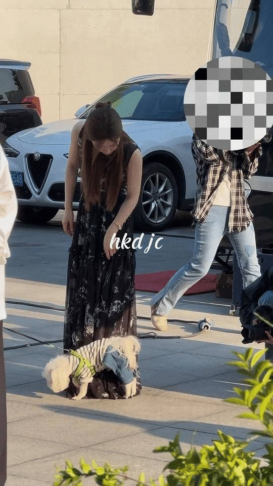 赵露思有时候真挺抽象啊 ​​​