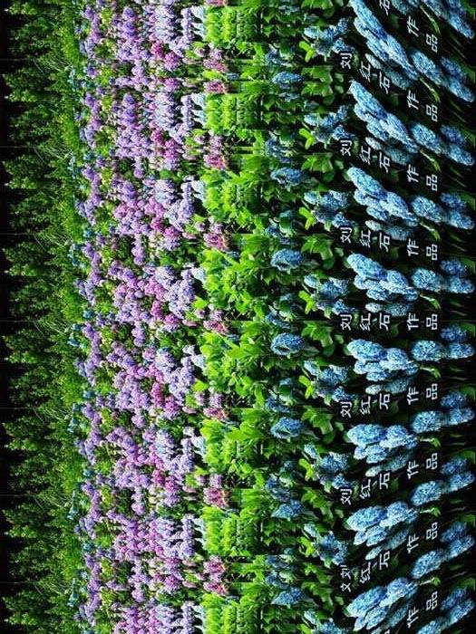 这几张三维立体图，是你不常见到的，有些是你能看的出，但是不知道怎么描述，那就偷着