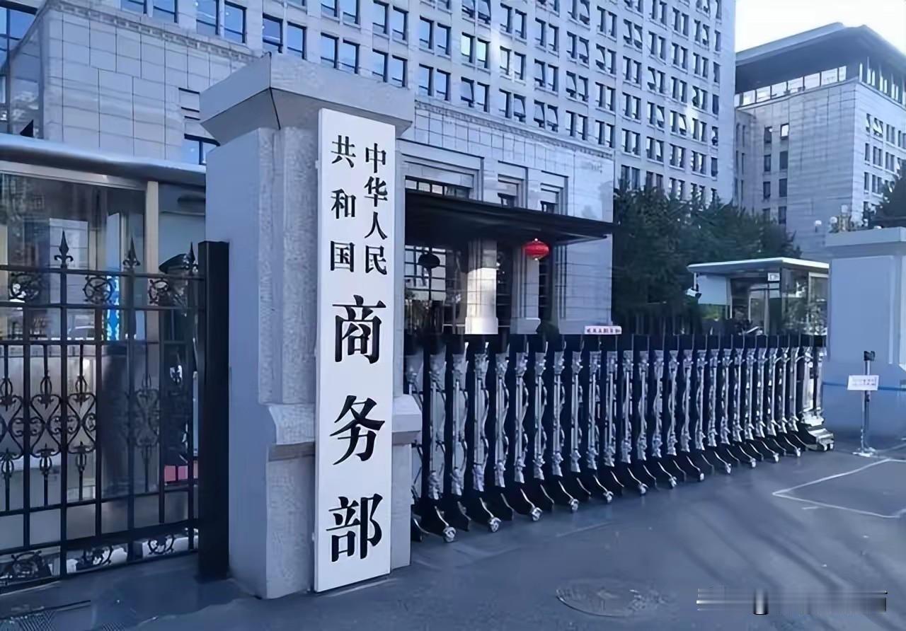 镓锗走私案背后，中国掐住关键材料命脉，全球供应链如何应对？

我在网上看到两个案