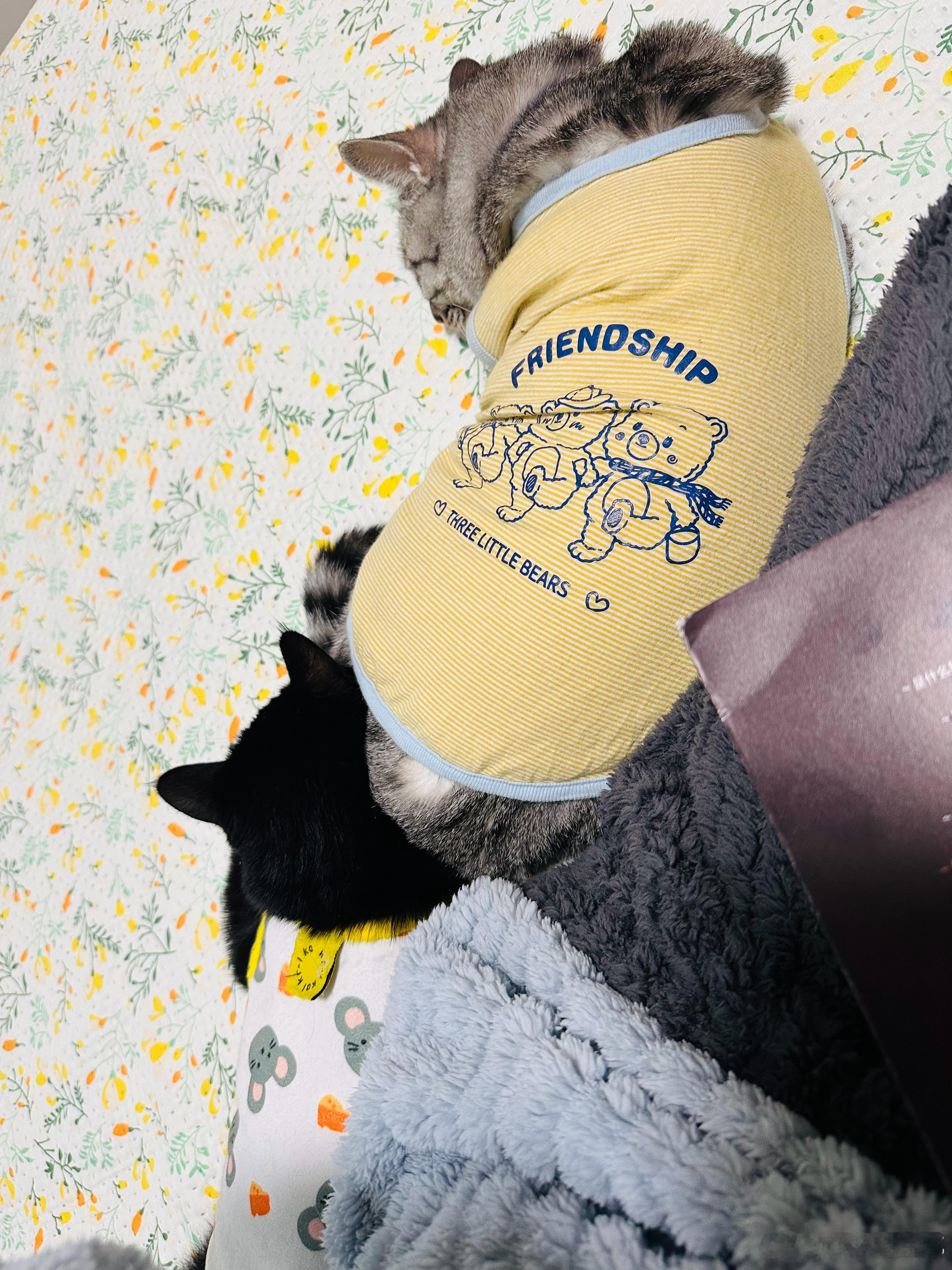 过去，是死去的当下；未来，是没出生的当下。 