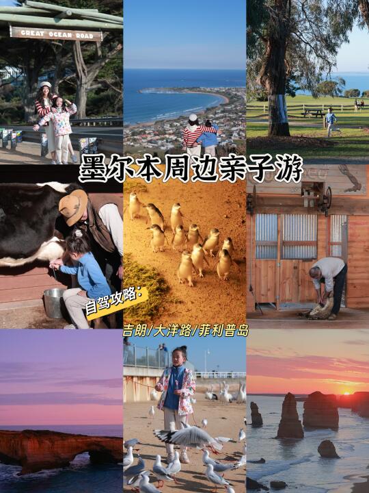 大洋路自驾刚回来！攻略随便问！