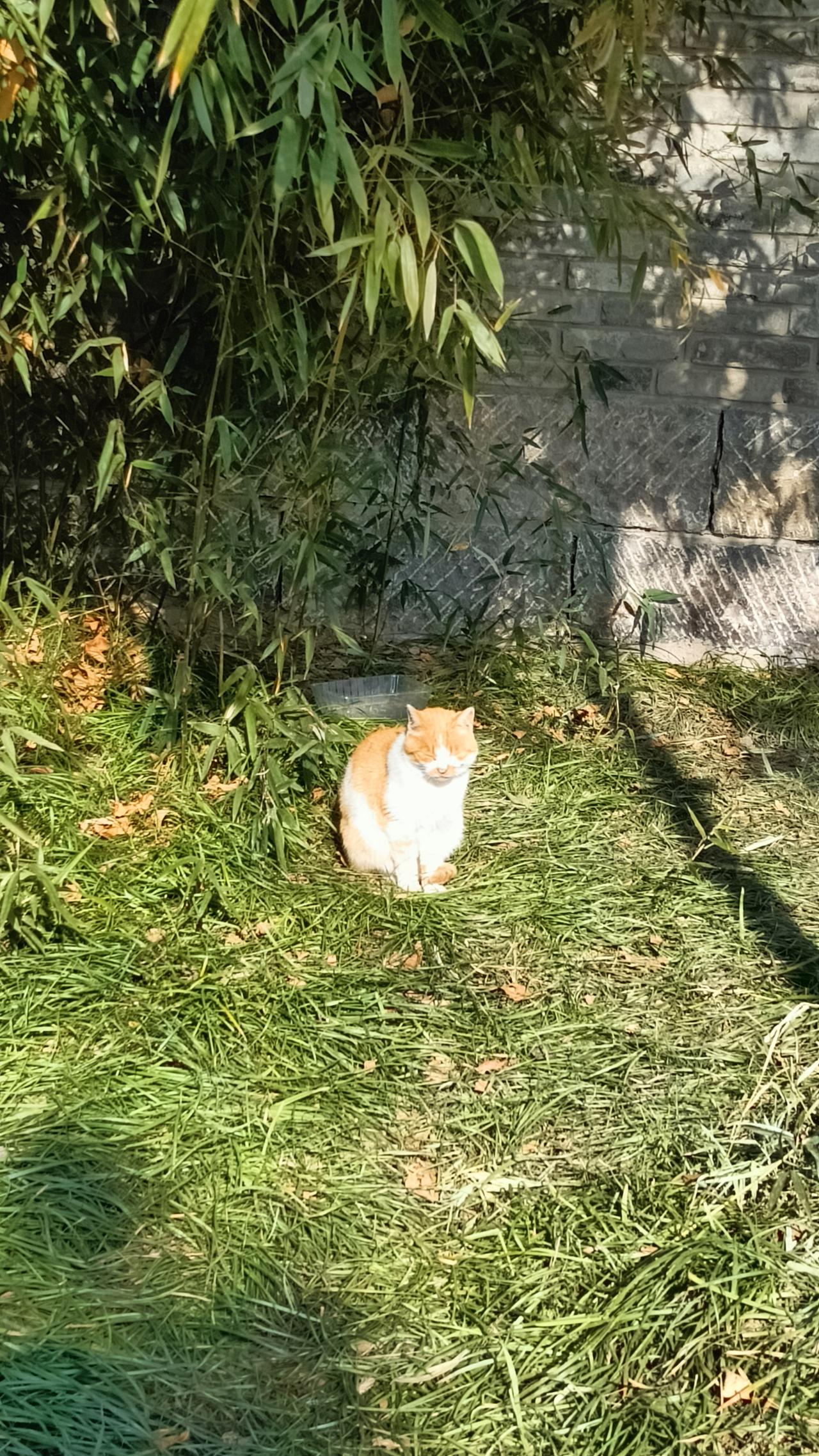 时间过得太快了，年过完了！