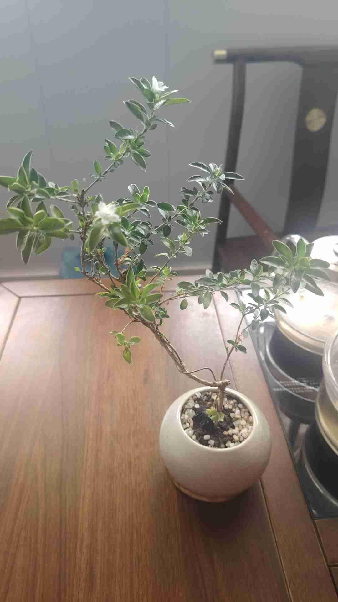 我的今日状态：😎自信酷炫
我这里的天气：🌈雨过天晴