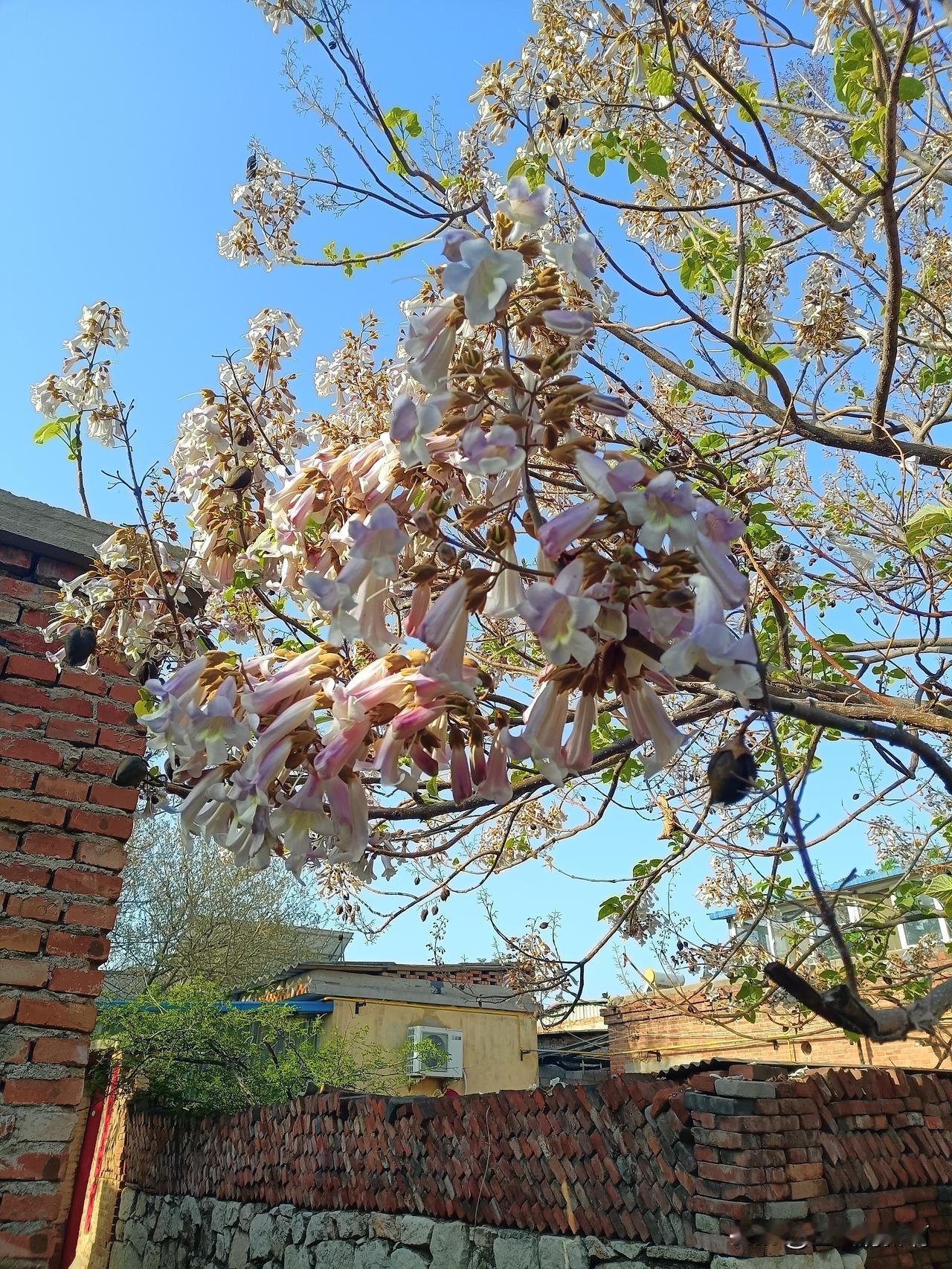 还有五十天就高考了，家有考子的家长一定都在焦虑，不管是成绩好的还是成绩差的，家长