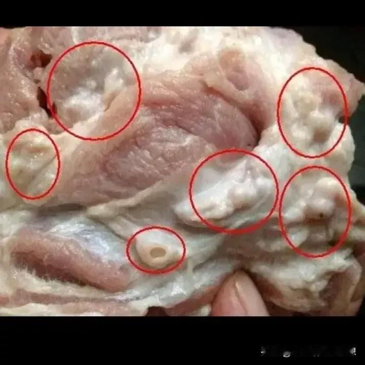 今天我在菜市场买猪肉的时候，我就问那个老板，我说哪个地方是槽头肉，他说你在我这里