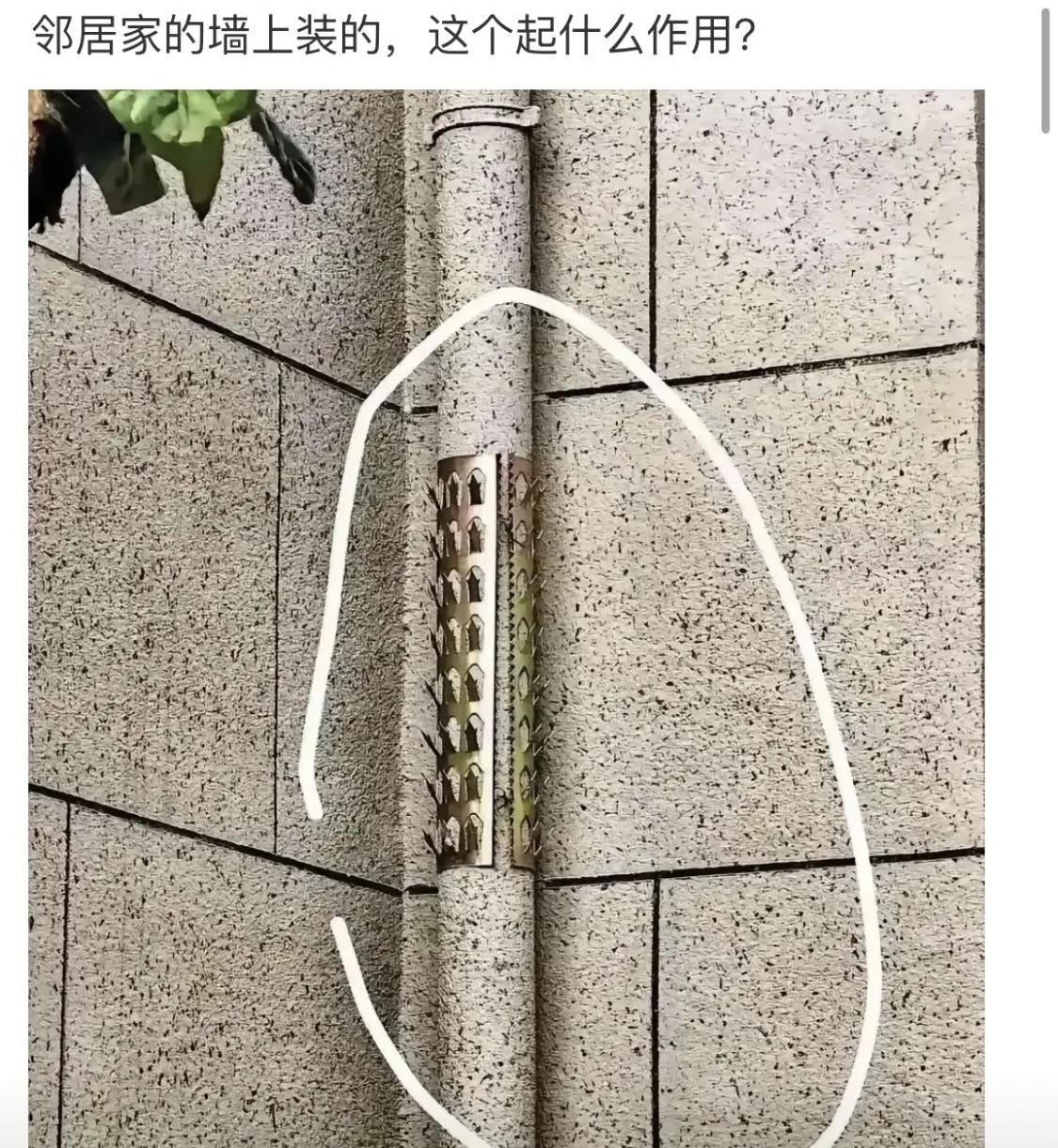 这个是什么用途呢？[思考]