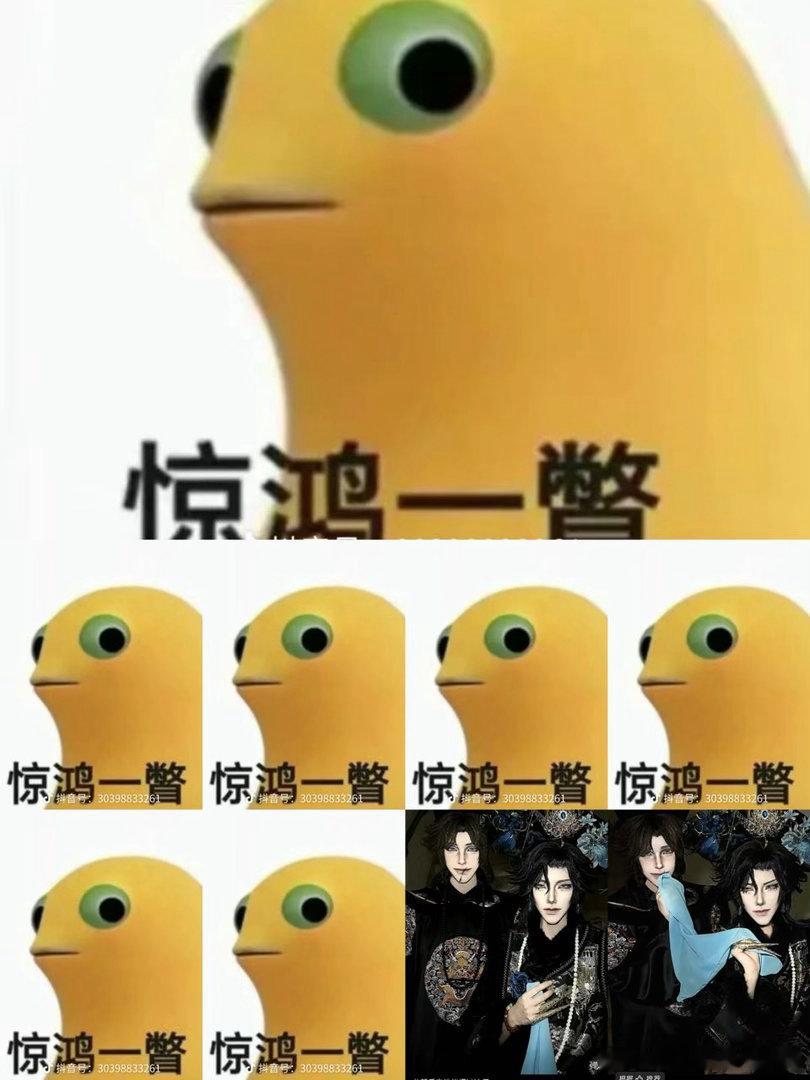 分享新鲜事 