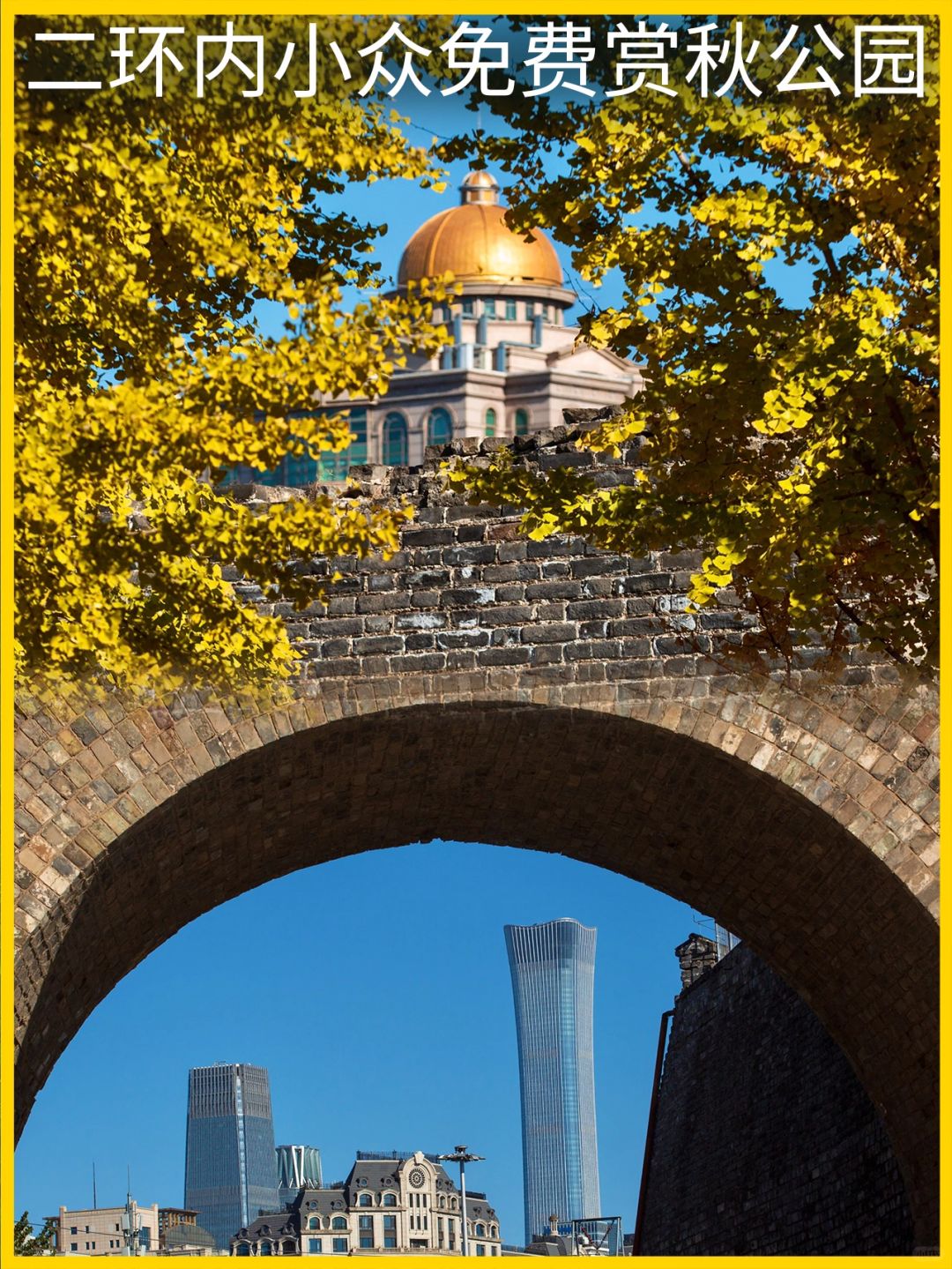 银杏+草坪+国保古建，这太适合初冬Citywalk