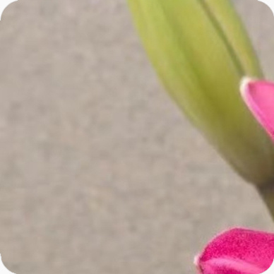 每日一善阳光信用｜每日一善人生有所舍，才能有所得；有所放下，才能有所收获。 与其