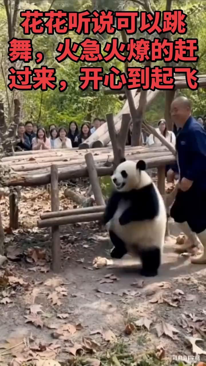 哎呦我的妈，哈哈。