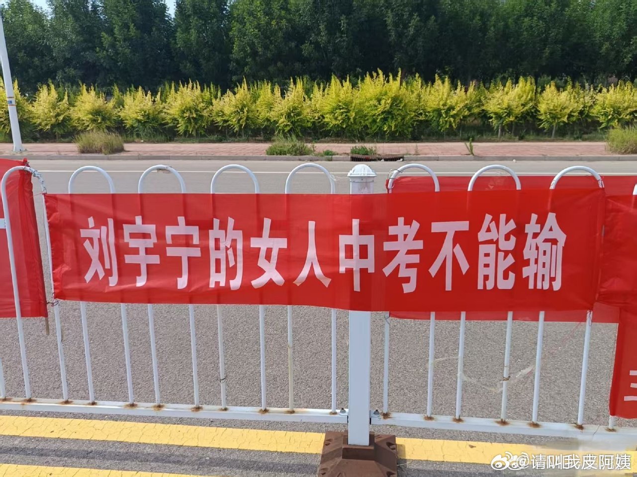 考个试宁宁忙的像个陀螺，忙完高考忙中考。感觉宁的小棚友这精神状态都能多考50分。