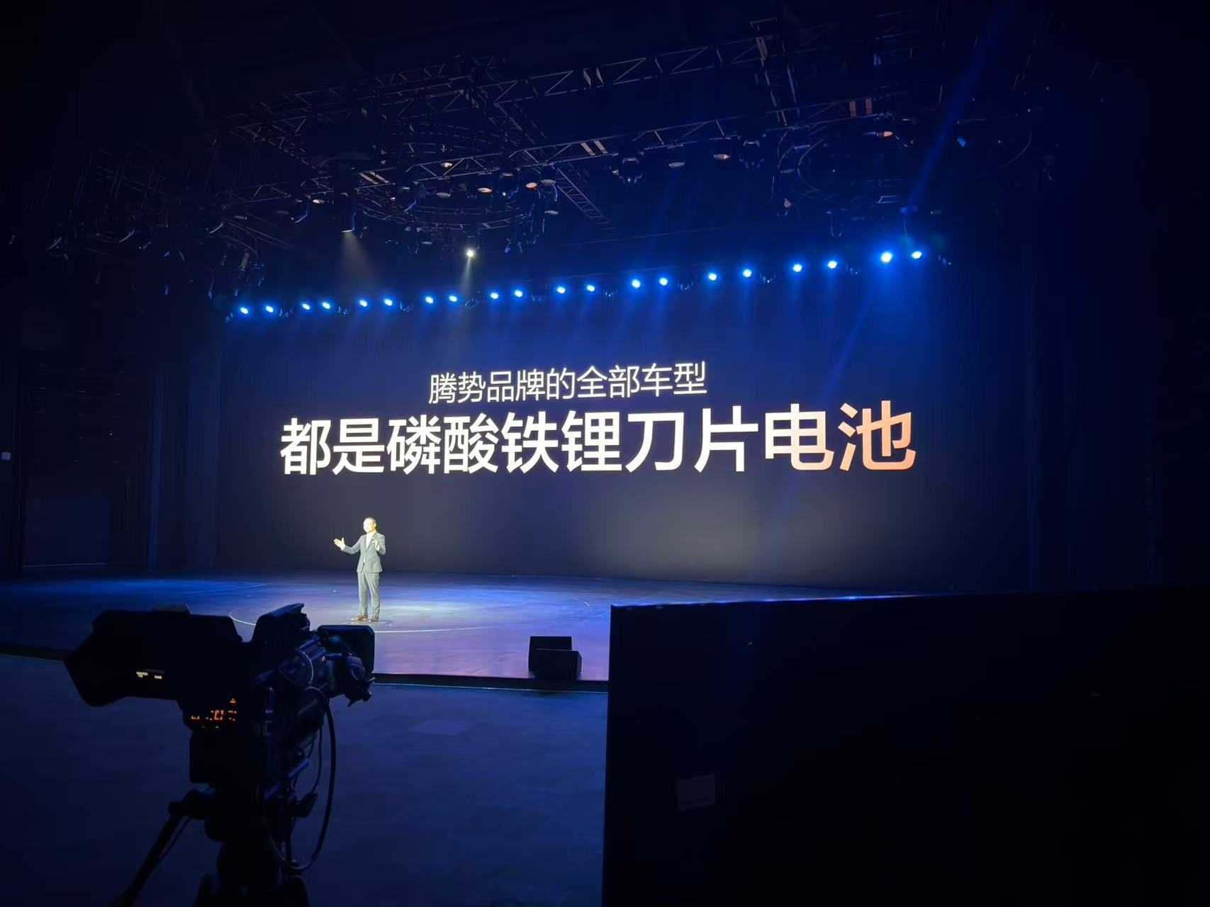 磷酸铁锂，天下第一。 ​​​