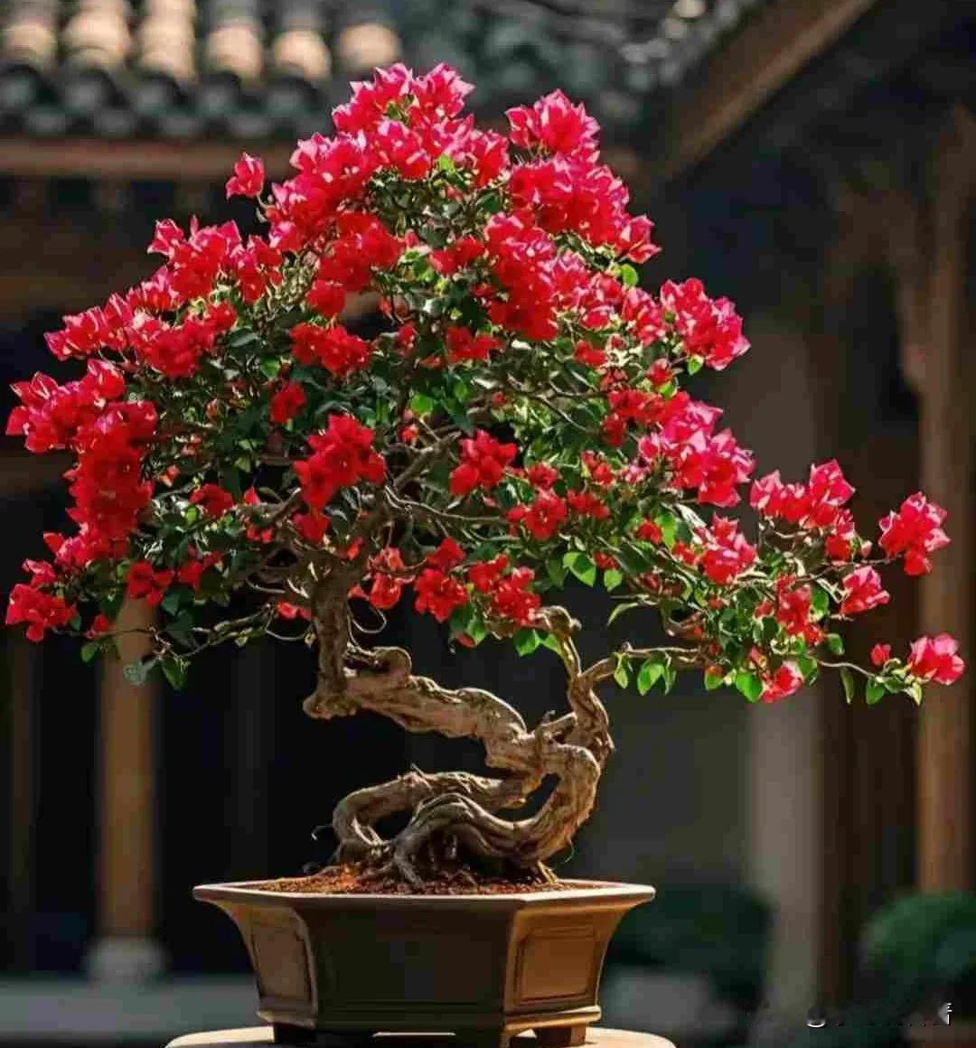 《 苏幕遮·心灯常明 》

夜深沉，心灯明，照亮前行道路清。一念之间天地宽，净化