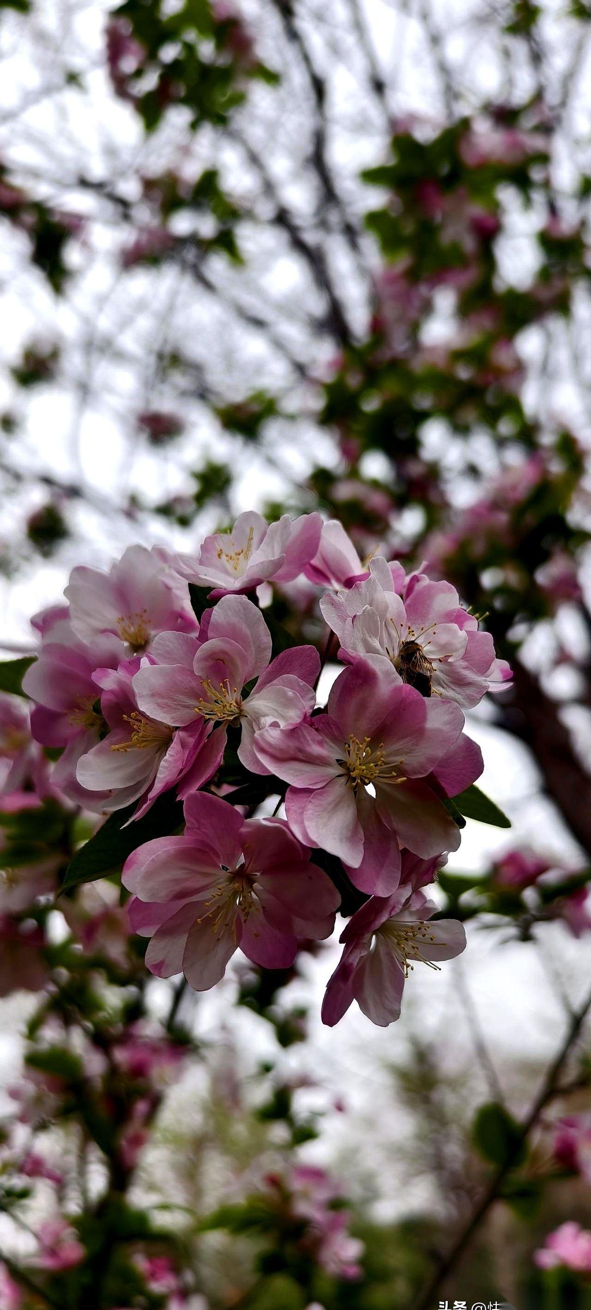 江苏那帮家长，突然干了件“大事”。
前一秒还因为孩子少考两分，在家长群里半夜三点