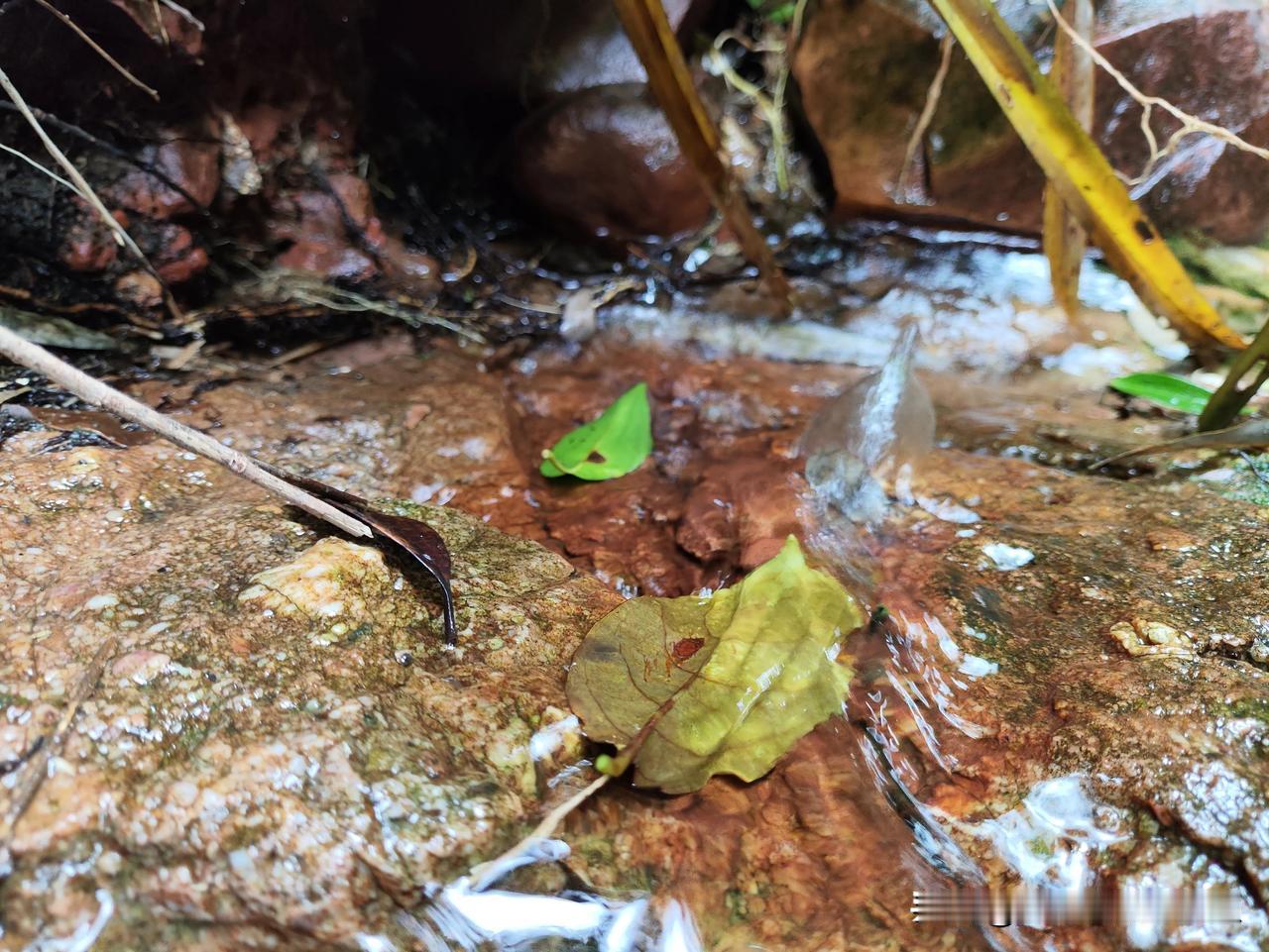 车骑到半路就提示该充电了，离目的地还有二十多公里，有点怀疑是晚上没充满电，从前骑