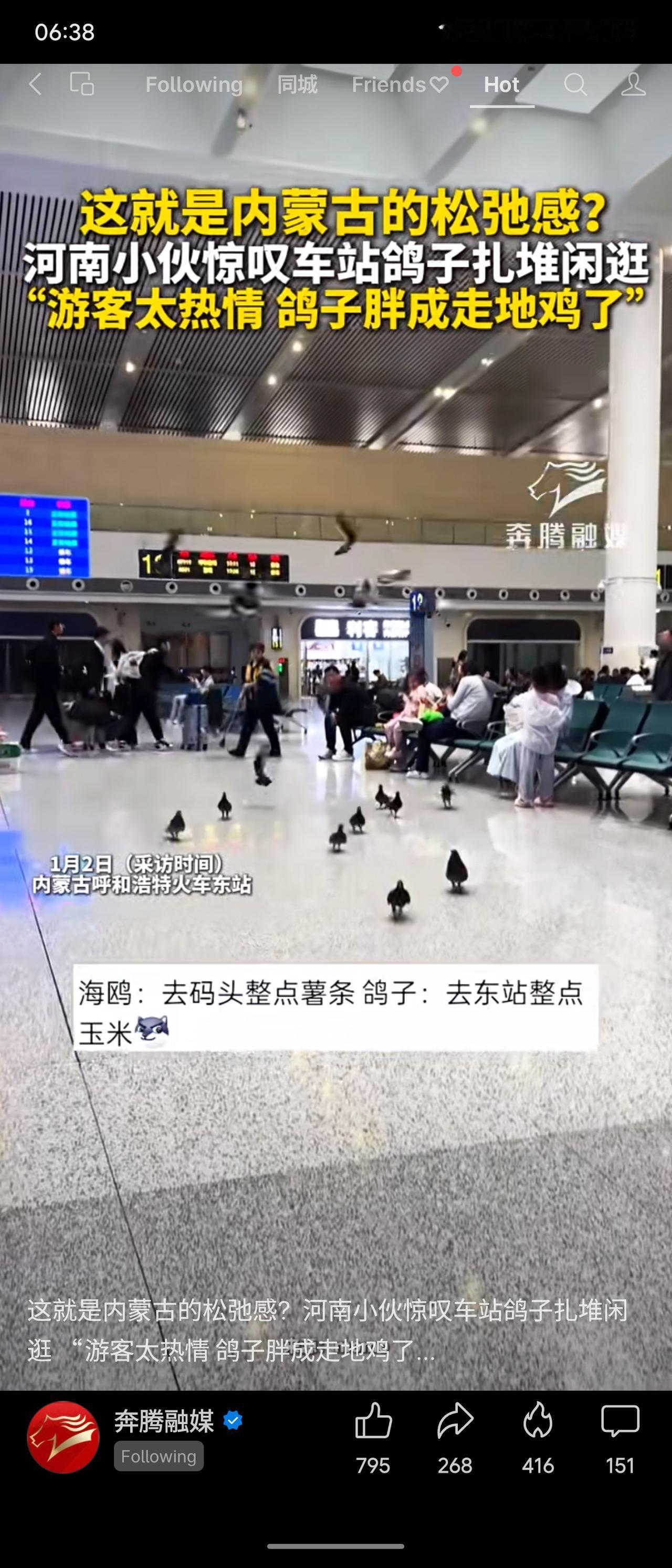 在内蒙古呼和浩特火车东站，成群鸽子悠闲漫步，与旅客和谐共处。因游客热情投喂，它们