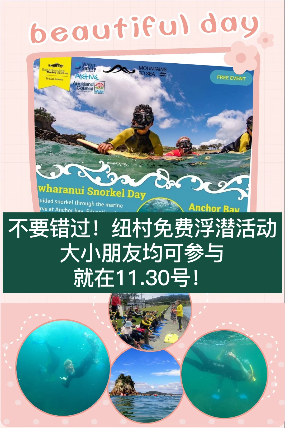 🇳🇿纽村免费浮潜活动！大小朋友均可参与