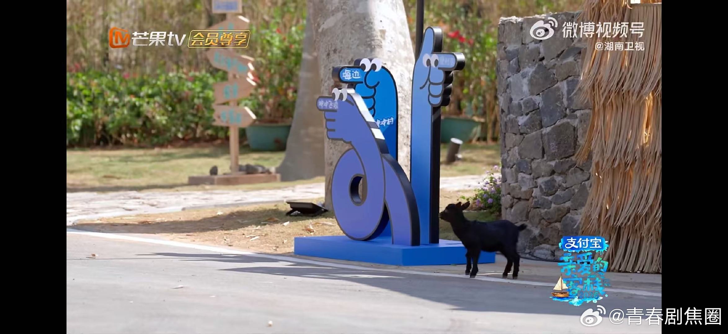 王鹤棣被羊遛了亲爱的客栈客栈外名场面，王鹤棣追羊被反遛，可爱与搞笑同时拉满 