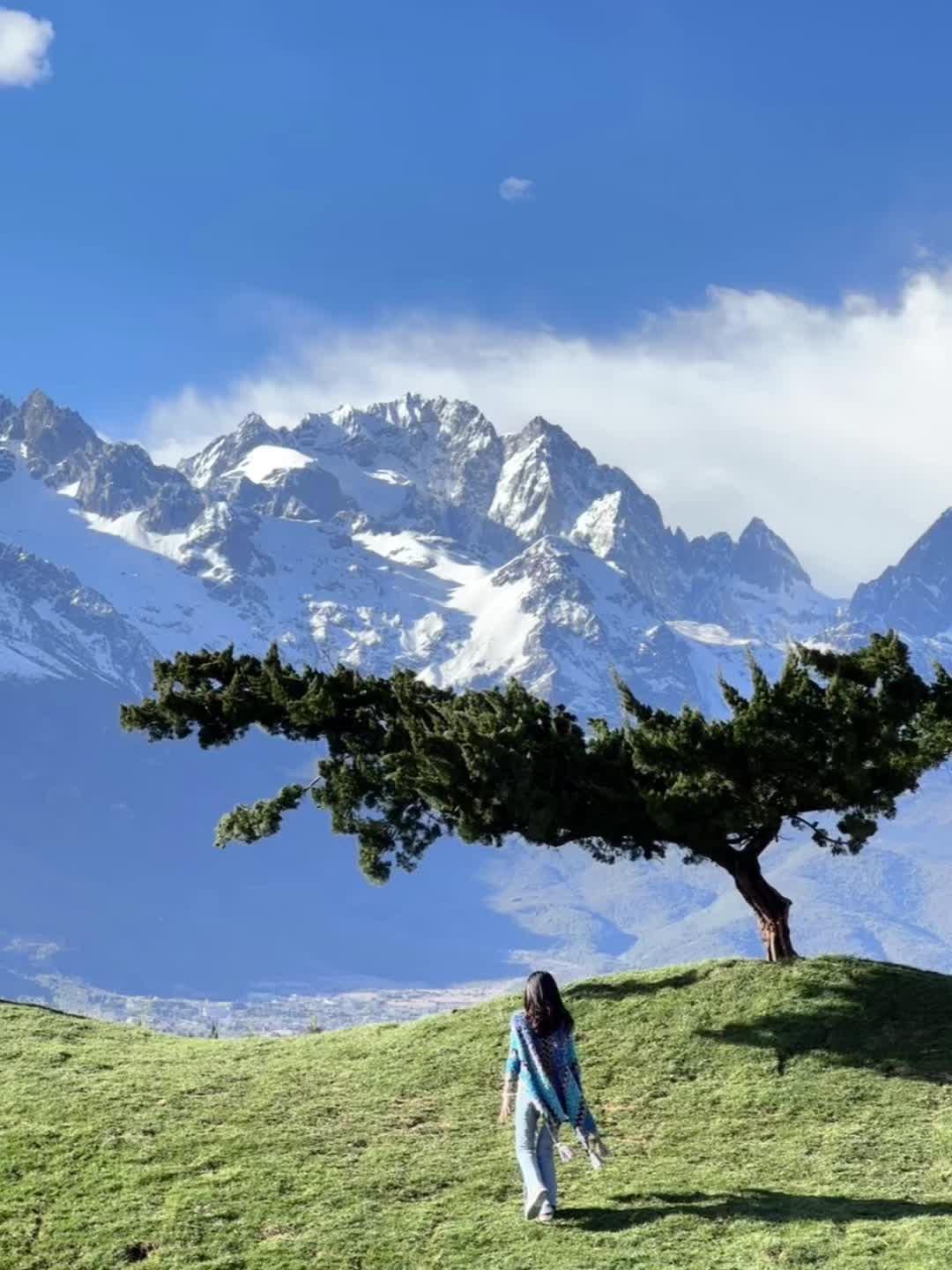 生命就该浪费在这种地方 替我自由！