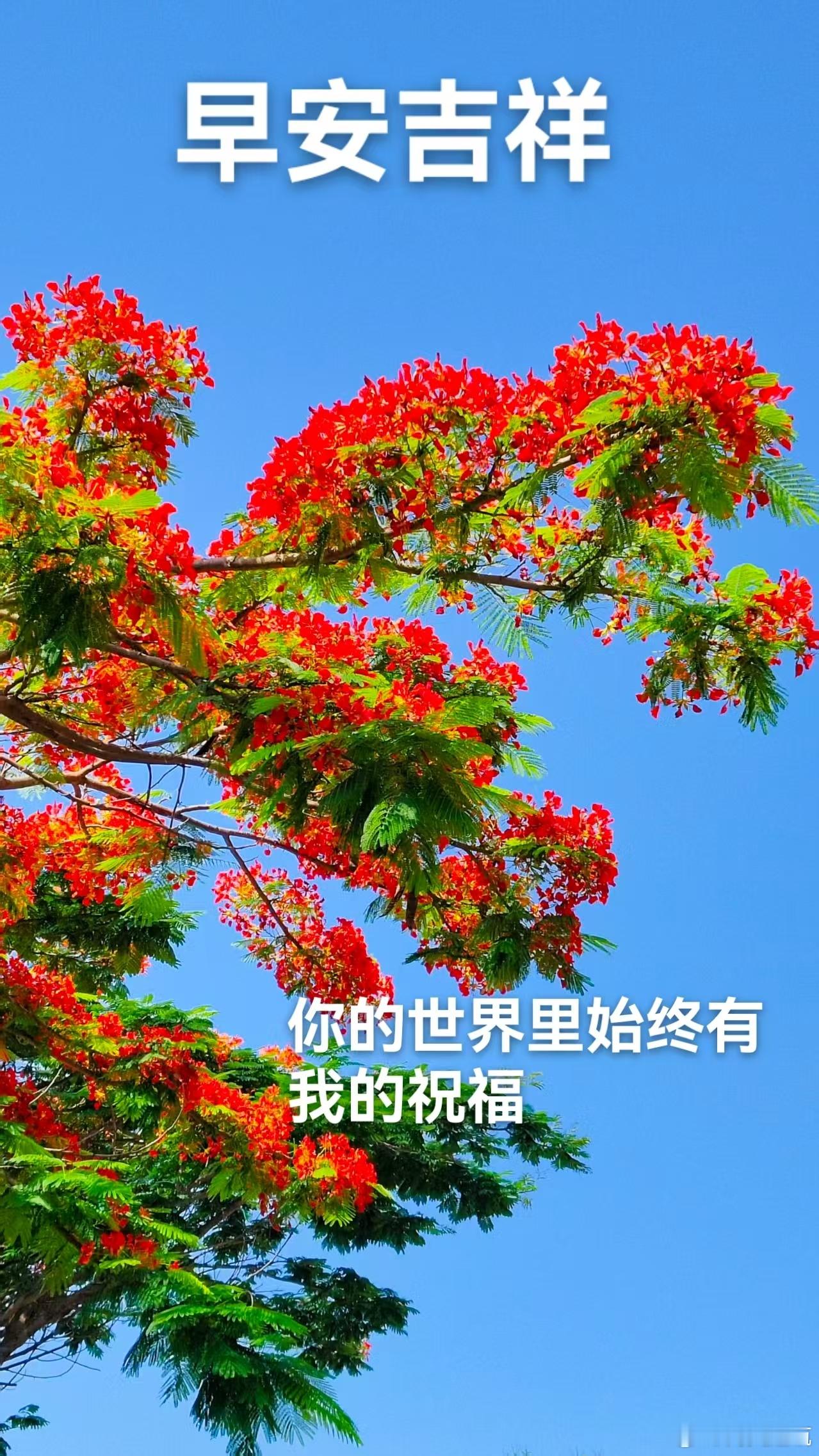 每天摸鱼打卡笑容，点亮每天的序幕；快乐，唤醒灿烂的日出；问候，带去心中的挂念；健