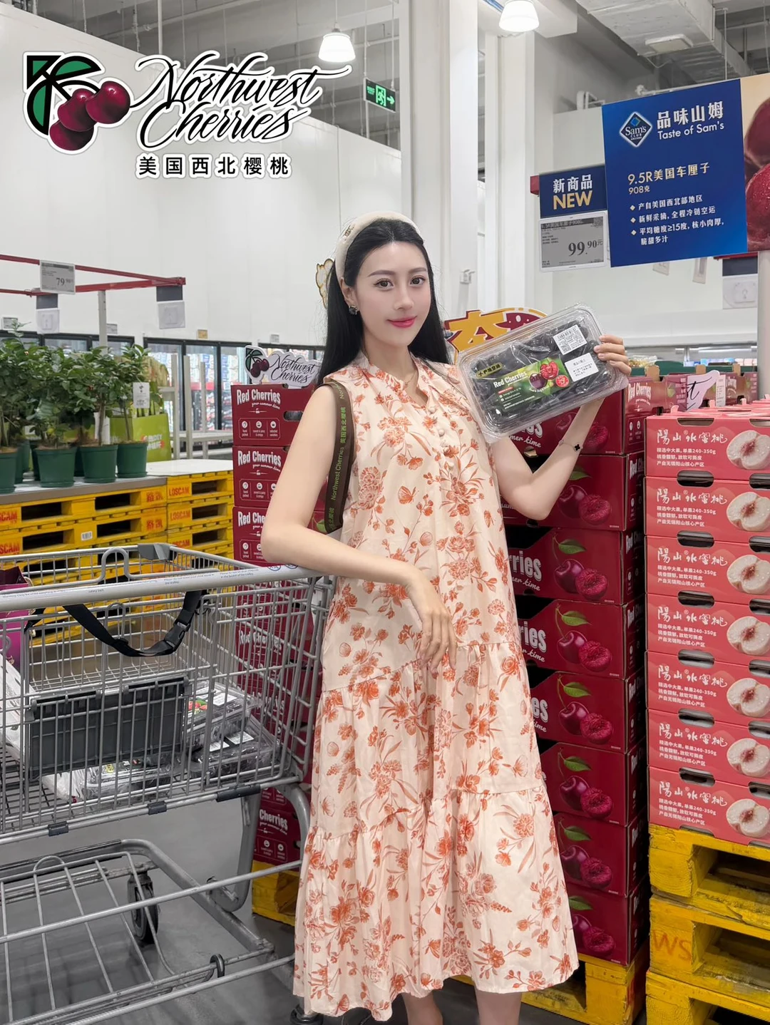 夏天的仪式感，从这一颗美国西北樱桃开始