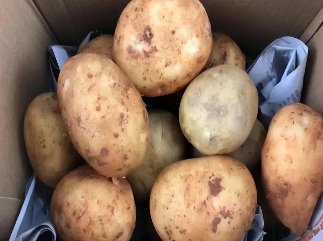 春天新旧土豆难分辨？4招认清翻新货，买薯再也不受骗
 
春天正是新旧土豆交替的时