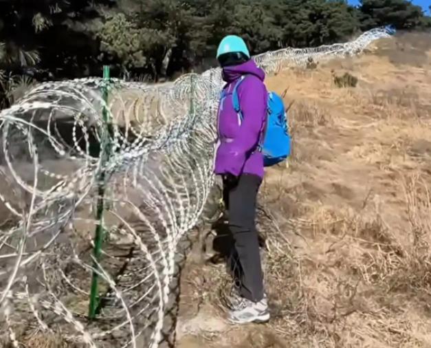泰山铁蒺藜拆了，八百多条路封了又开，两千多万打了水漂：拍板时风风火火，拆除时灰头
