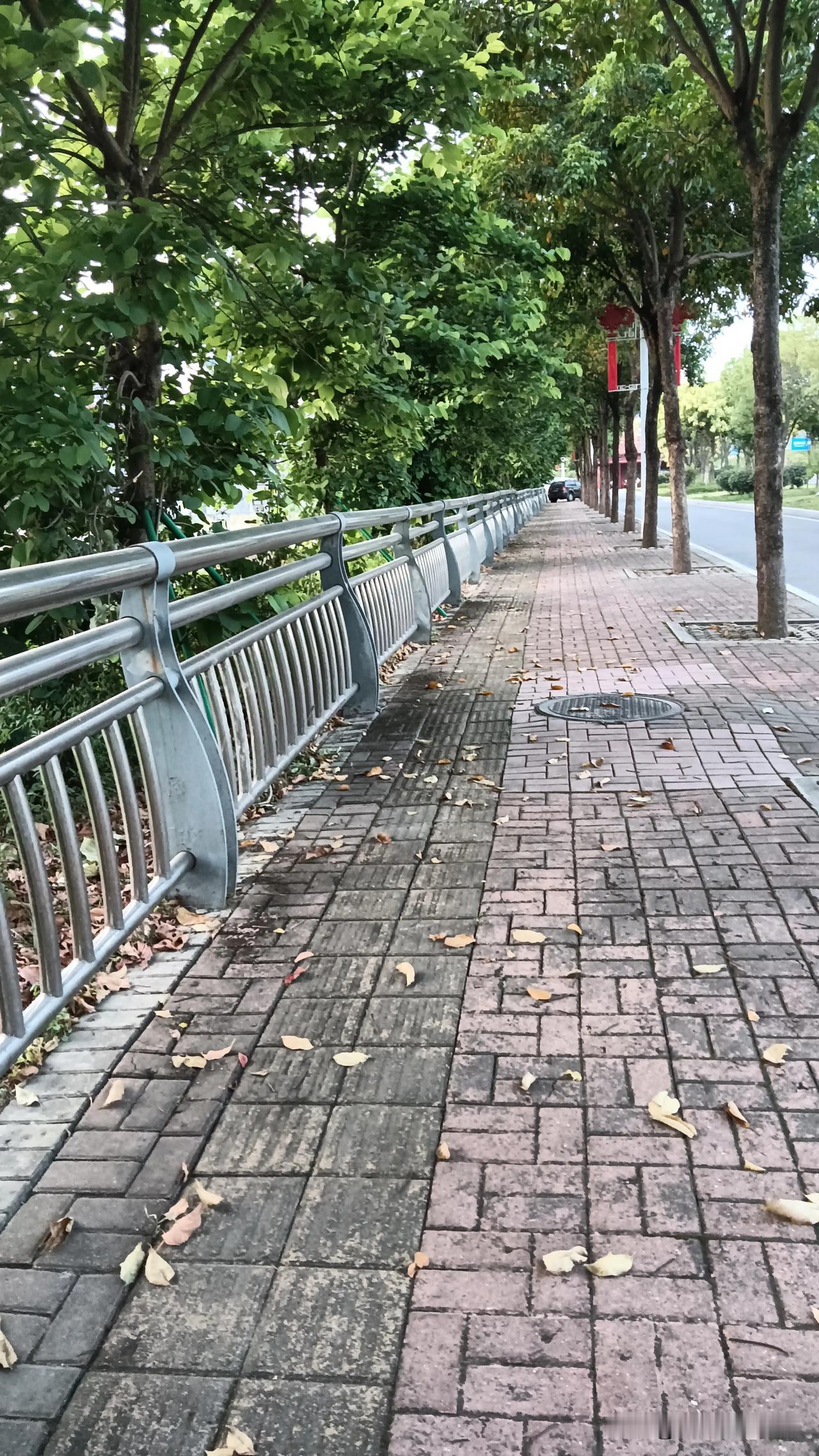 漫在在林荫小道上心情愉悦，忘掉所有烦恼吧。新的一年的脚步声越来越近了，但愿岁月静