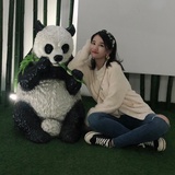 意中人吹汽车