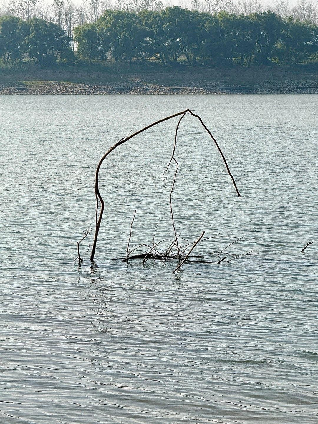 一个乱想，一个不说，一个想解决矛盾，一个只知道逃避问题，注定是要散 