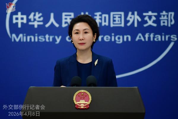 就此前有报道称伊朗计划对每艘经过霍尔木兹海峡的船只收取通行费并将收入与阿曼分成。