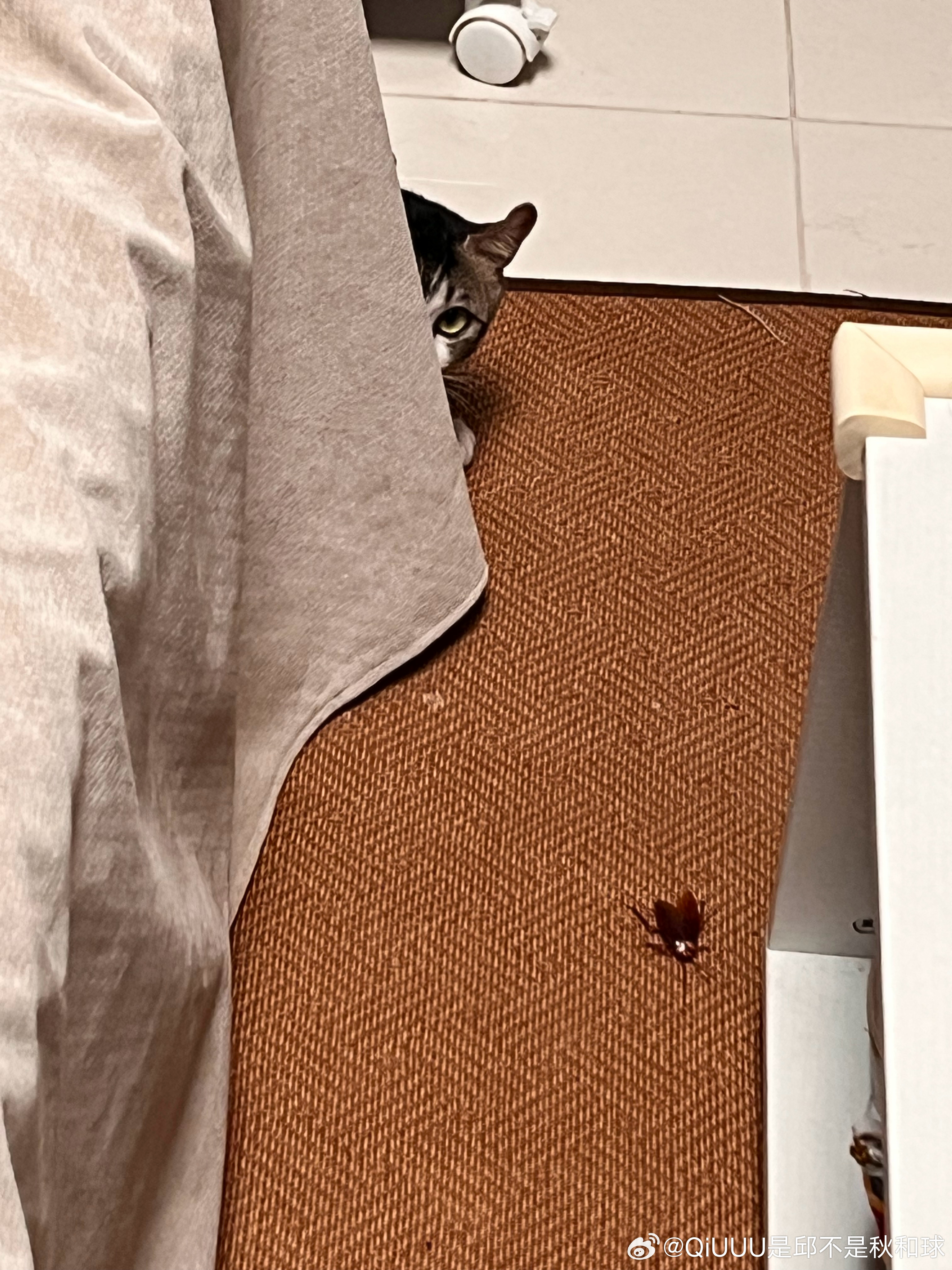 。 