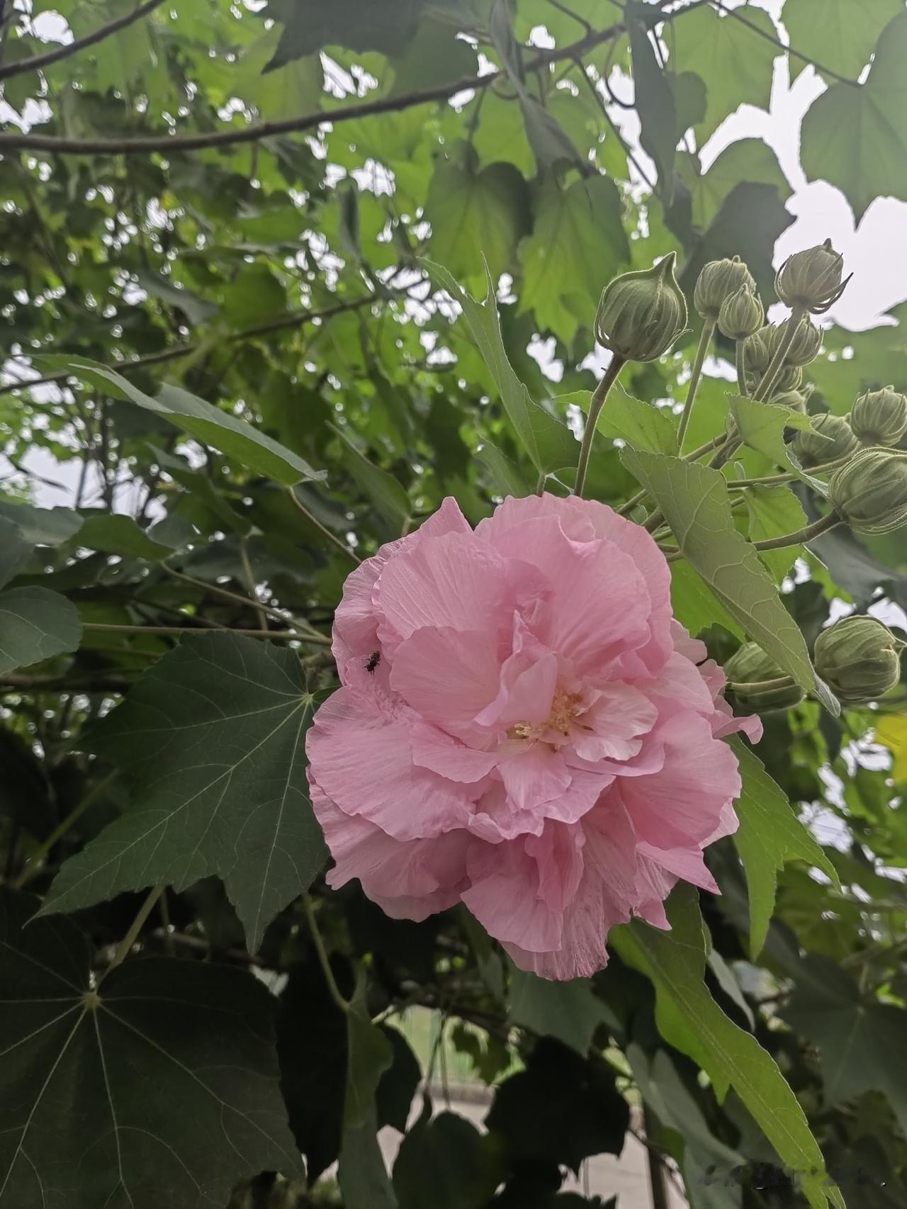 吃的苦中苦，方为人上人。