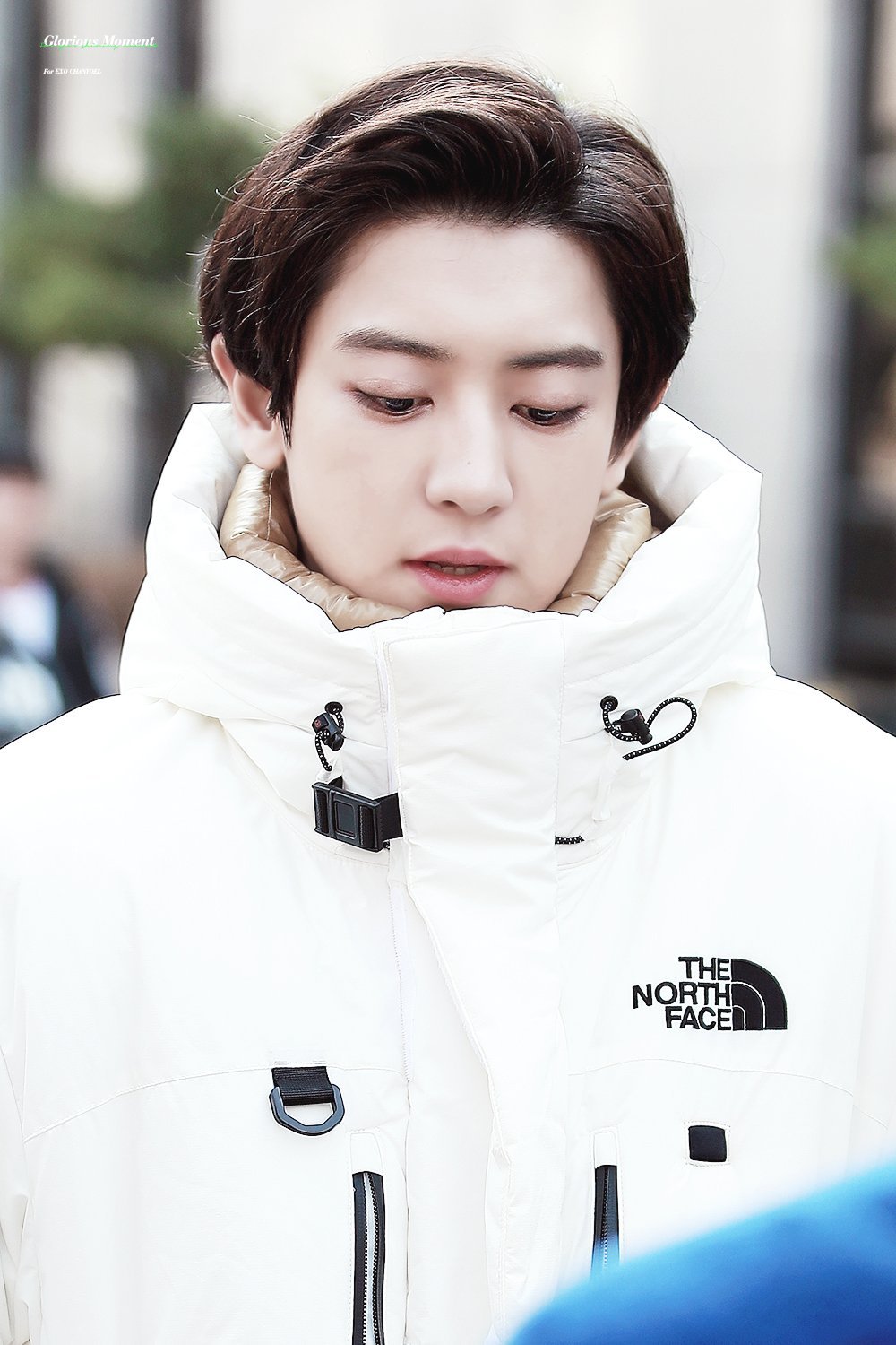 181116 音乐银行外出 