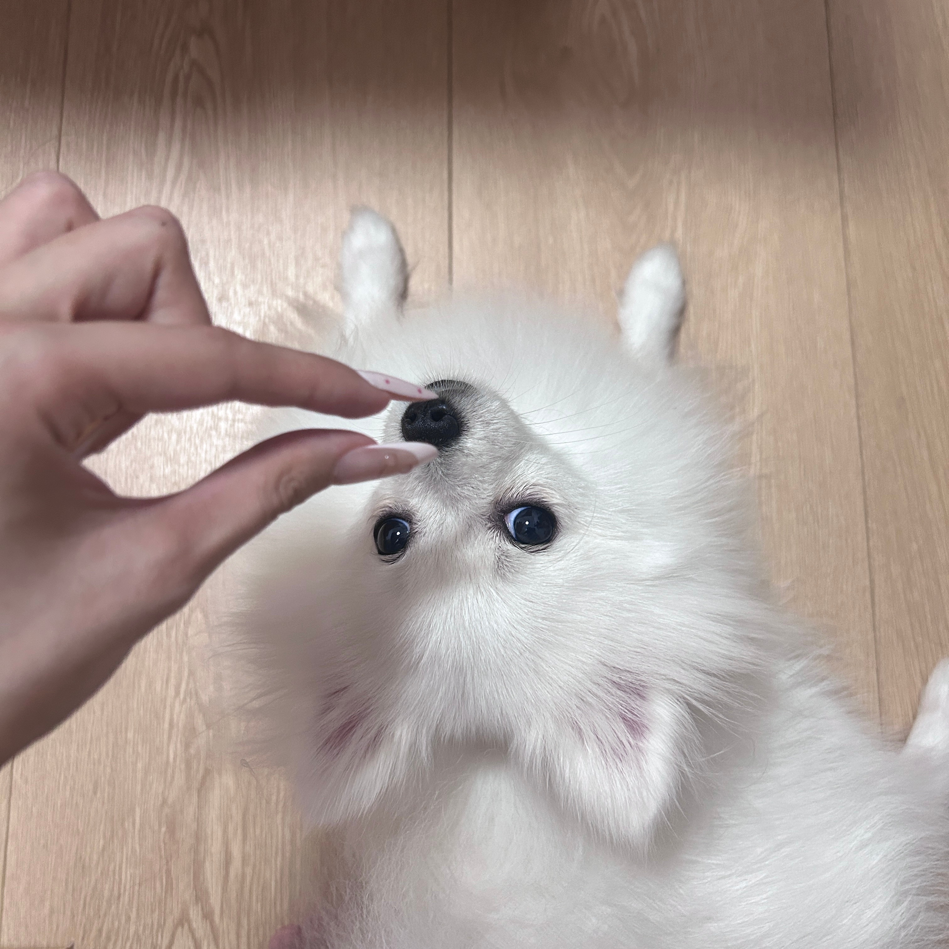 分享图片 