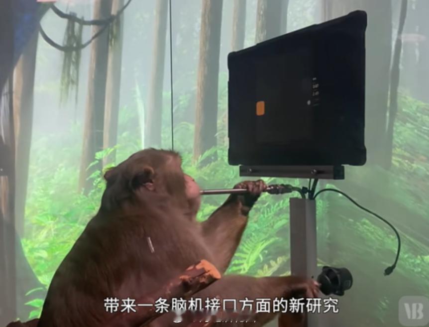 A股与医用实验猴生产经营相关的 A 股上市公司 ：昭衍新药（603127）：昭衍