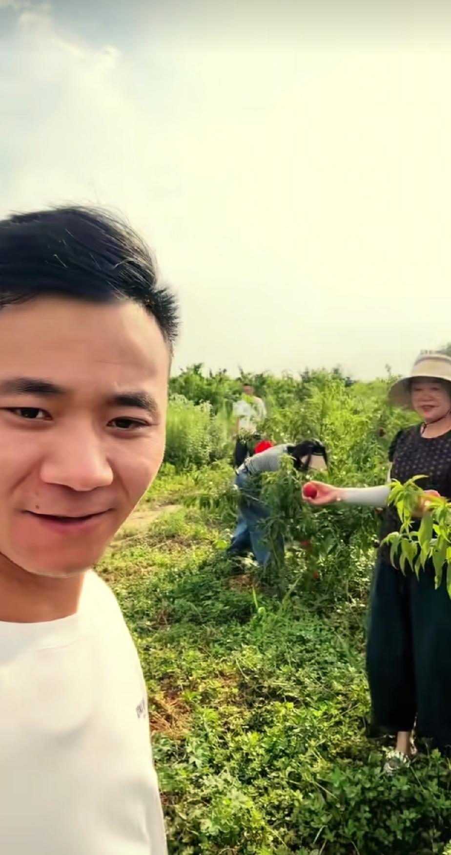 厉怀远在自己的桃园拍摄一段视频，视频中，妈妈和二姨、小姨一起摘桃子，完全忘记了自