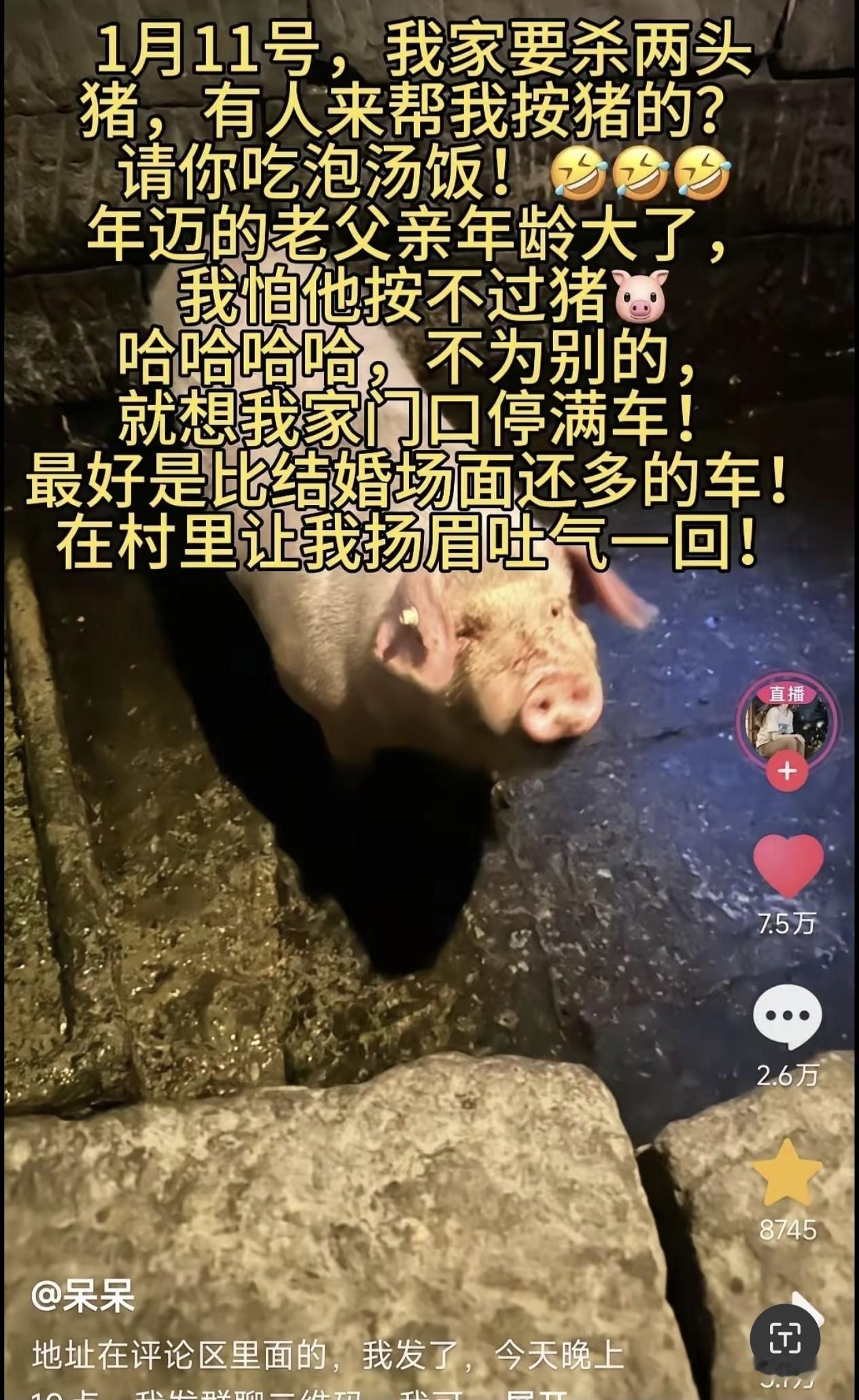 重庆合川这场杀猪宴太绝了！博主喊人帮忙，竟引来上百人凑热闹！
 
刷到个超暖的事