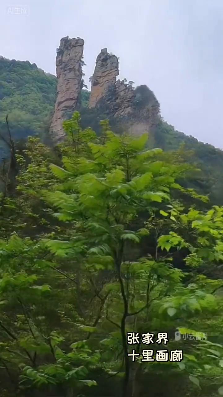 张家界十里画廊。
十里画廊。